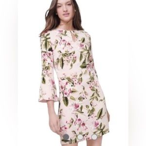 White House Black Market Size 6